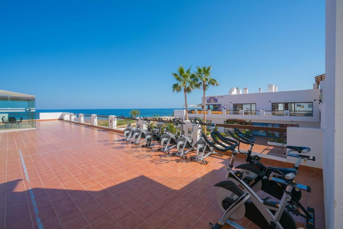 Palmera * San Juan de los Terreros